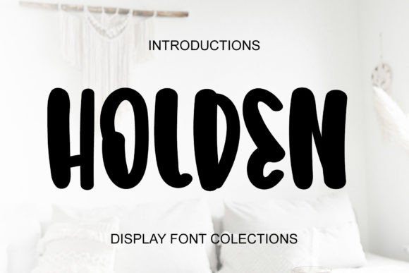 Holden Font for Web Design